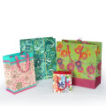 Color Paper Shopping Gift Bag for Greeting